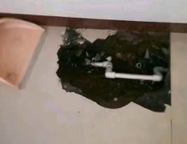 中江卫生间测漏水多少钱
